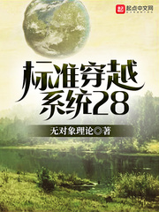 ׼Խϵͳ28
